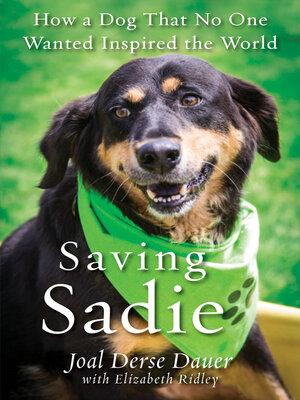 Saving Sadie - ebook